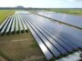 Shell Plans 120MW Solar Farm, Says Sonnen Has Sold 3,000 Units In Australia