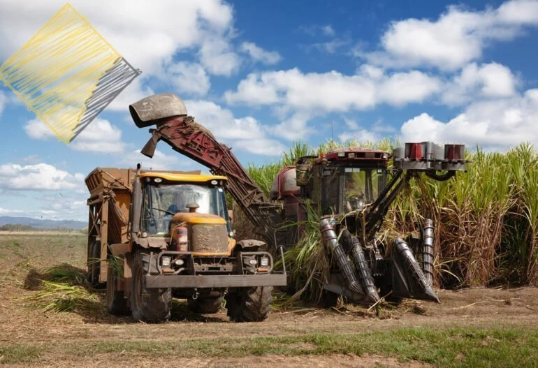 A tractor is parked next to a Hielscher Electrical solar cane field.