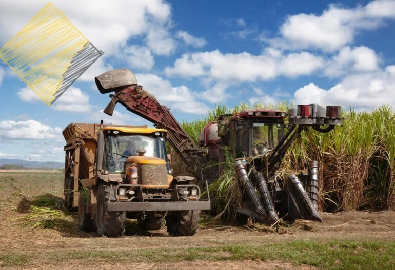 A tractor is parked next to a Hielscher Electrical solar cane field.