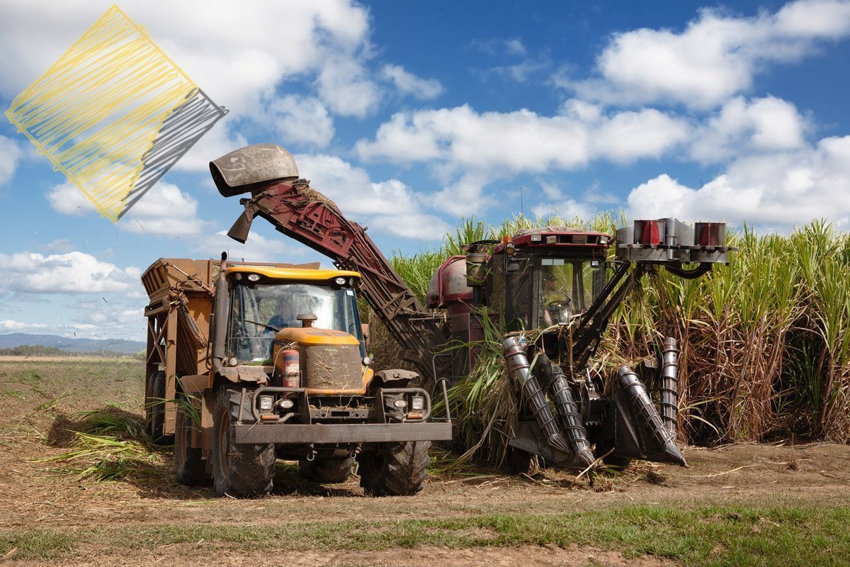 A tractor is parked next to a Hielscher Electrical solar cane field.