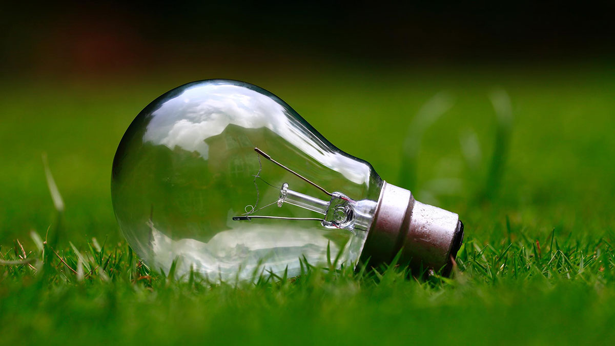 A Solar Light bulb sitting in the grass, powered by Hielscher Electrical's cutting-edge solar power technology.